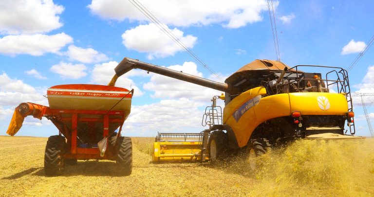 Paraná lança programa de R$ 20 milhões para levar genômica ao agro